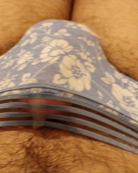 Me and my underwear collection (for sale)  photo