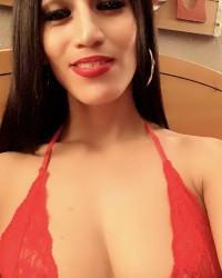 Latntransy fan club photo