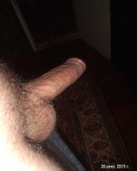 Home cock photo