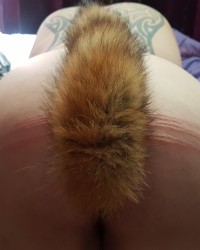 Marking his toy ready for use by others photo