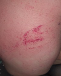 Marking his toy ready for use by others photo