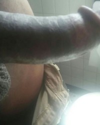 Penis photo