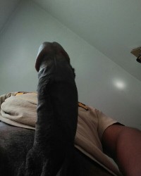 Penis photo