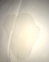 First time squirter bed wet photo