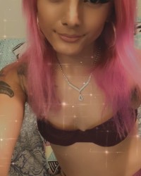 KITTY PICS !!!!!!!!  photo