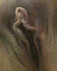 Pretty Little Pussy photo