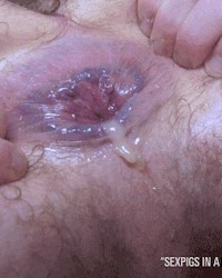 sexpigs in a man-tramp promised land photo