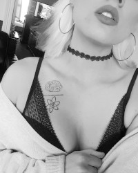 Your favorite is back photo