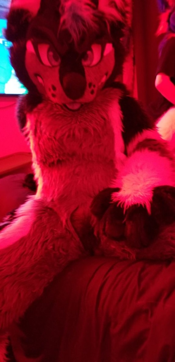 Come get some pup~