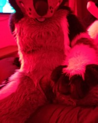 Come get some pup~ photo