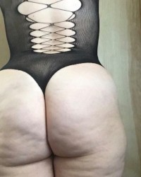 Hump Day  photo