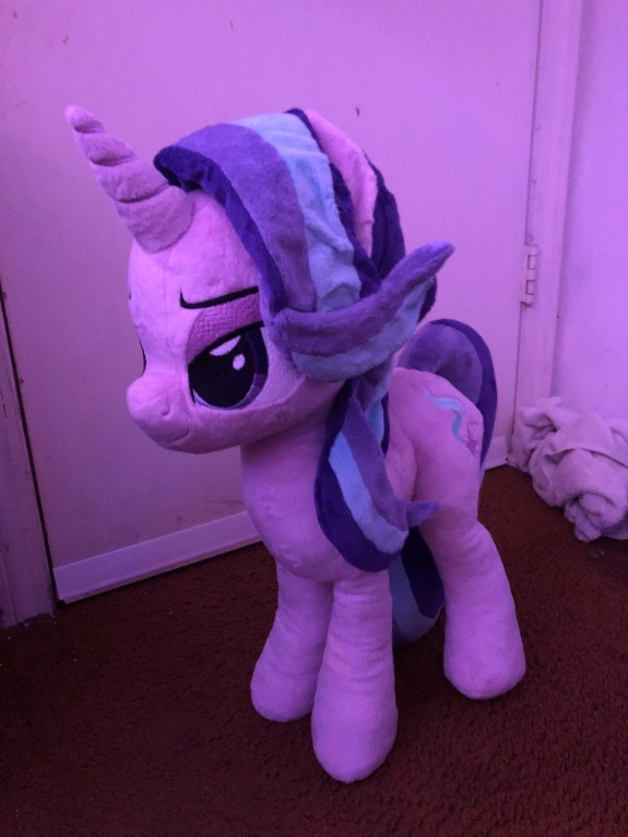 She has arrived.