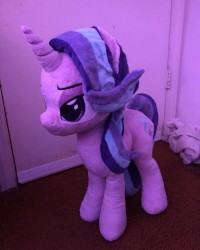 She has arrived. photo