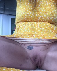 Sweet Sunshine photo