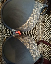 some old collections photo