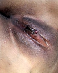 Naughty Bits & Tits photo