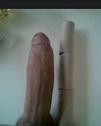 Cocks I want to play with photo