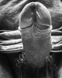 Average Dick Energy photo