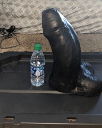 Dildo options for custom videos photo