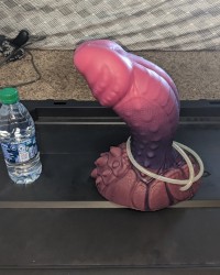 Dildo options for custom videos photo