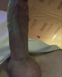 Cock Shots photo