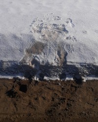 SLAVEBABY AMAYA SERVES  photo