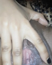 My creamy wet pussy photo