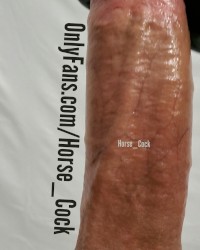 Big White Cock photo