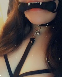 Thinking of a new profile picture, thoughts? photo