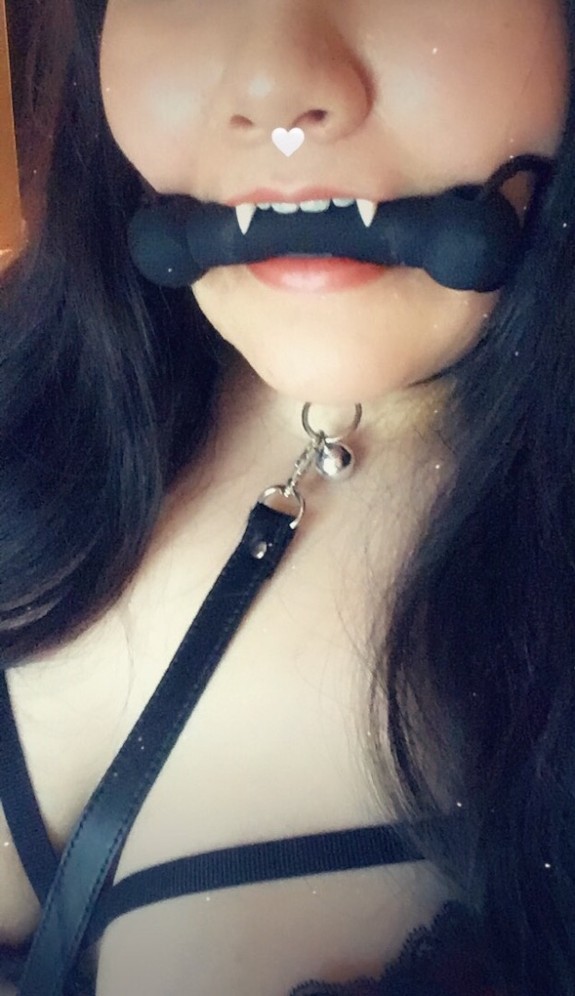 Thinking of a new profile picture, thoughts?