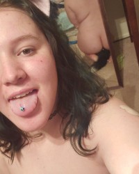 Kitten with her tail and ears photo