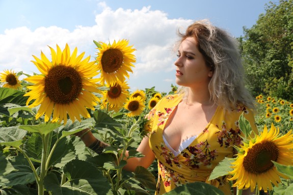 Sunflowers