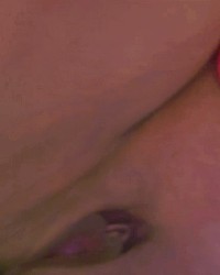GIFs etc. photo