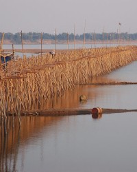 GODDESS TITELY TITLELINESS GIANTESS photo