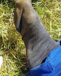 Break at work. photo