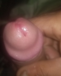 Best Dick N Da' World photo