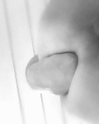 fisitplay photo