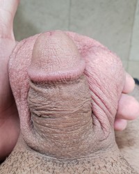 Soft Cock photo