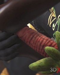 Anubis - the lord of the underworld photo