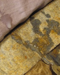 AZ (Gaia Arizona) 