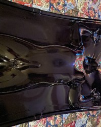 Shiny in vacbed photo