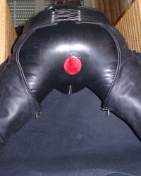 My butt plug collection photo