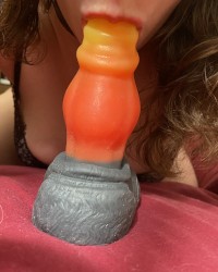 My DragonDog Bruiser the Fusion photo