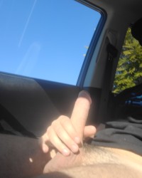 Cock shots photo