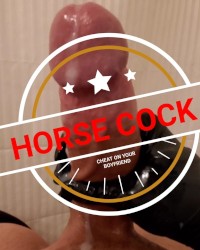 Big White Cock photo