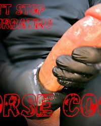 Big White Cock photo