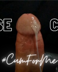 Big White Cock photo