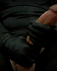 Big White Cock photo