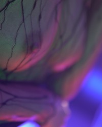 兔兔嫩屄越看越騷，淫水流了一地 photo