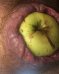 Divers hard gode bite pomme photo